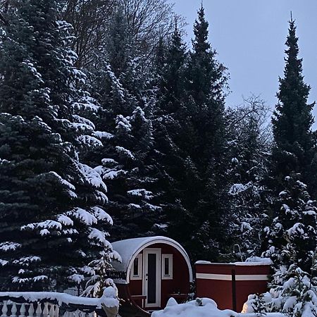 Gaestehaus Gaens - Ferienzimmer Apartman Schirgiswalde-Kirschau Kültér fotó